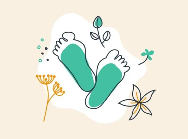 Formation : Phytothérapie clinique et gestion du terrain pour les pédicures podologues